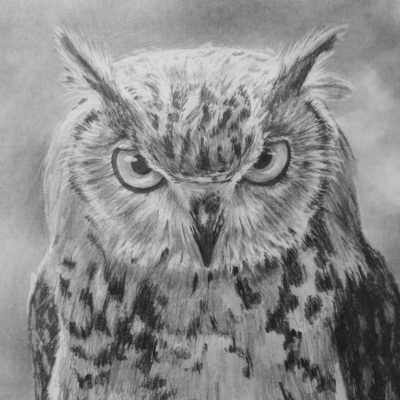 How to Draw an Owl