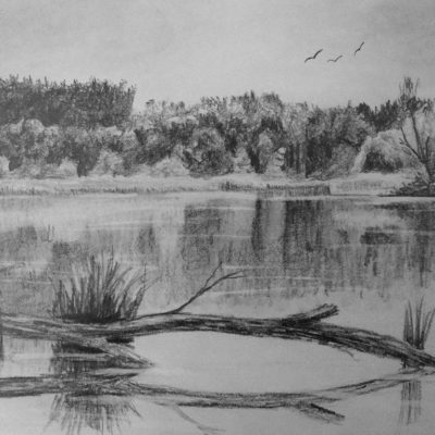How to Draw Reflective Water