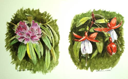 How to Paint Flowers in Line and Wash