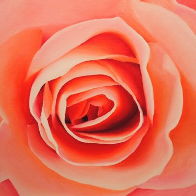 How to Paint a Rose in Oil