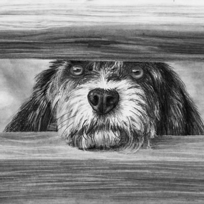 How to Draw a Dog at the Gate