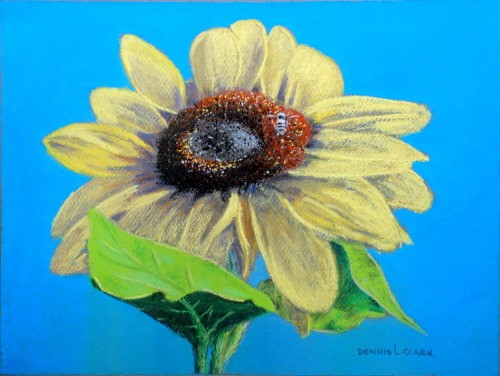 How to Draw a Sunflower with a Bee in Pastel