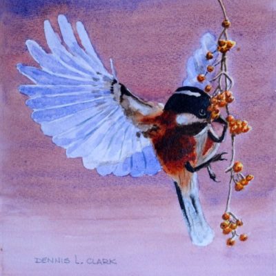 How to Paint a Bird Eating Berries in Watercolor
