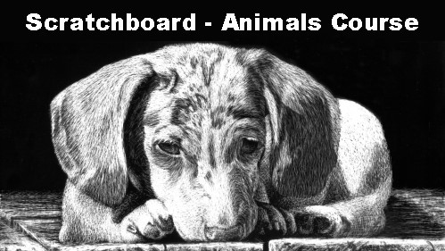 How to Scratchboard Animals Course