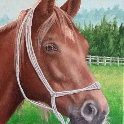 How to Paint a Horse Portrait in Acrylic