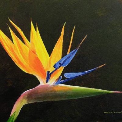 How to Paint a Strelitzia Flower in Acrylic