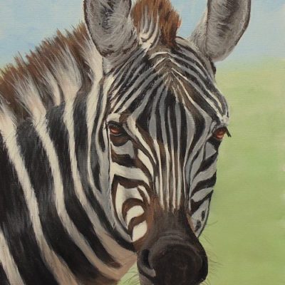 How to Paint a Zebra in Acrylic