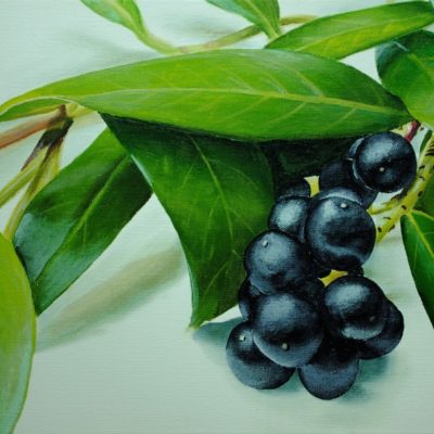 How to Paint Berries and Leaves in Acrylic