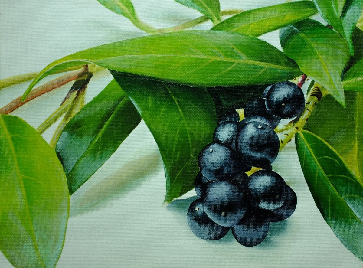 berries-acrylic-final-1200