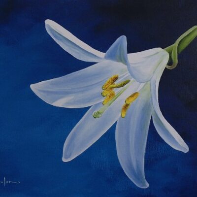 How to Paint a Daylily in Acrylic