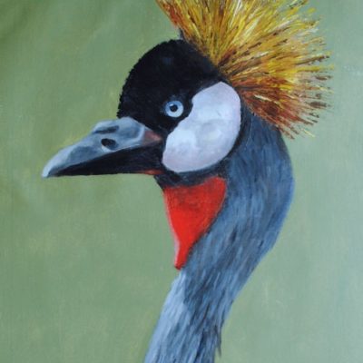 How to Paint a Crowned Crane Portrait in Acrylic