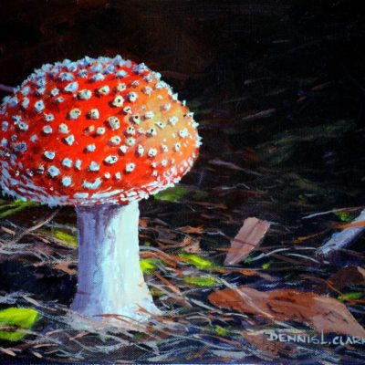 How to Paint a Red Toadstool in Acrylic