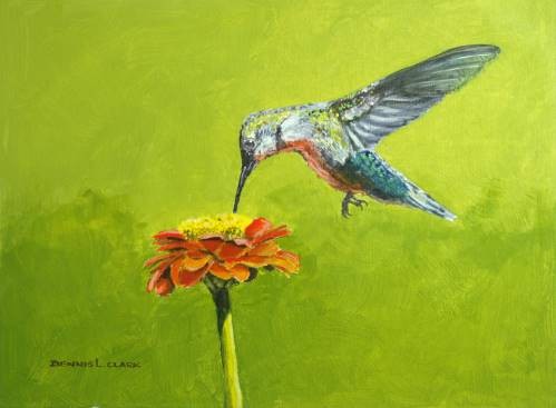 How to Paint a Humming Bird at Zinnia in Acrylic