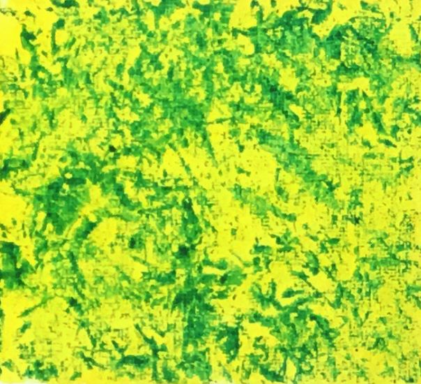 create texture by painting with odd items