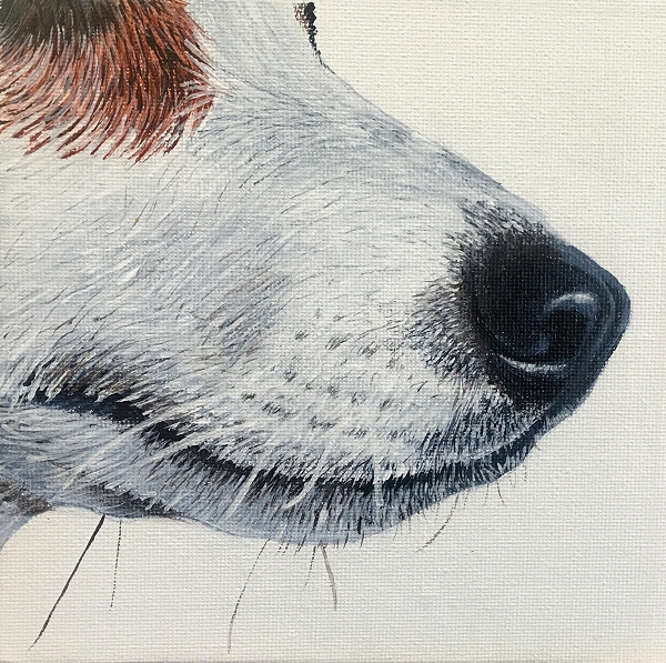 How to paint a realistic Jack Russel Terrier nose - dog painting course