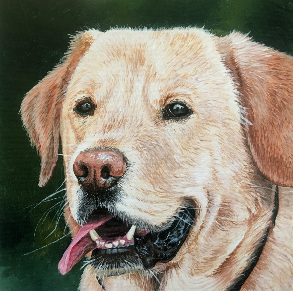 How to paint a realistic Labrador dog painting course