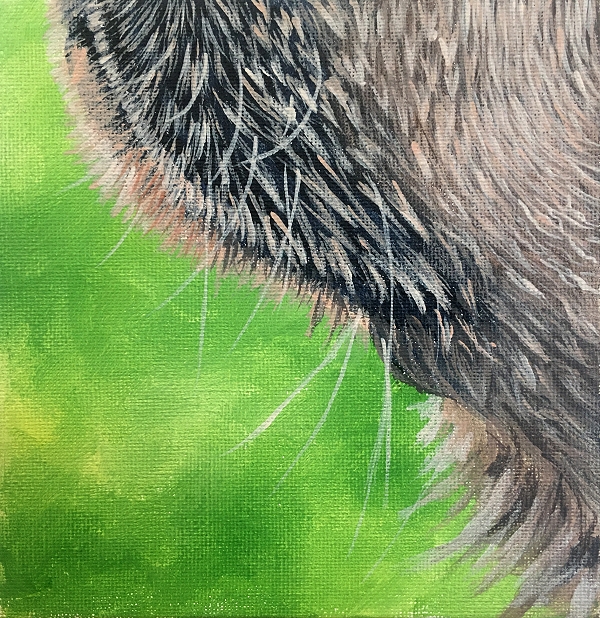 How to paint a realistic Labrador mouth with wet hair - dog painting course
