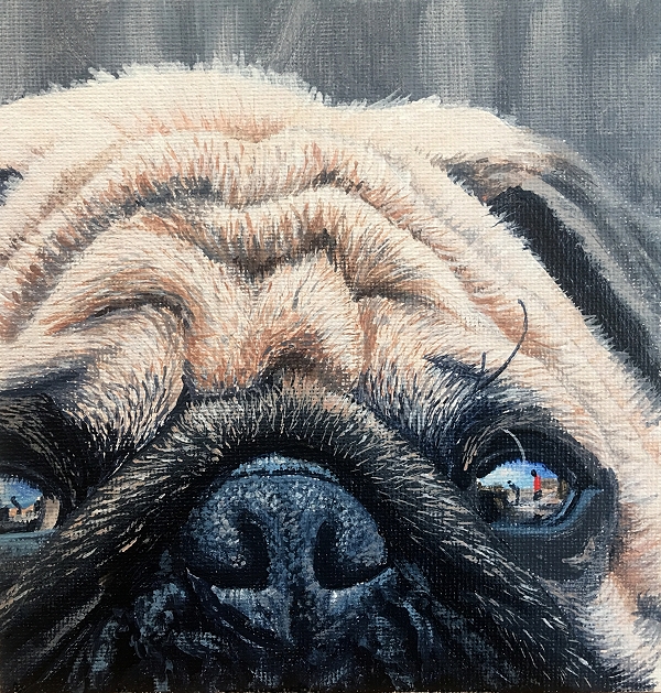 How to paint a realistic Pug with it's wrinkles and reflective eyes - dog painting course