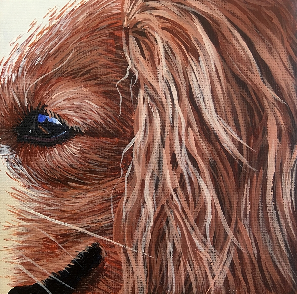 How to paint a realistic Spaniel with long matted hair - dog painting course