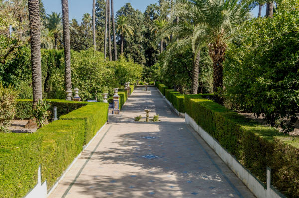 14-painting-interesting-shadows-path-shadows garden with path in cast shadow