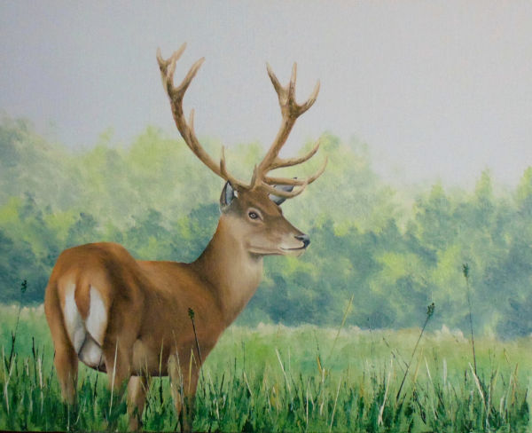 11-painting-with-complementary-colors-deer complementary colours with deer