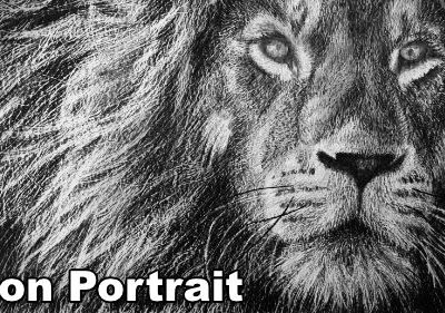 How to Draw a Lion Portrait