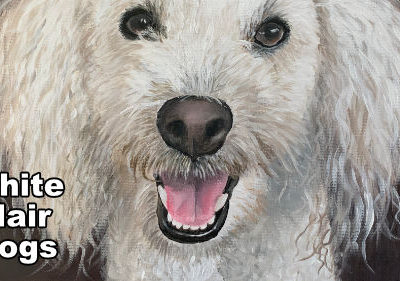 How to Paint White Hair Dogs
