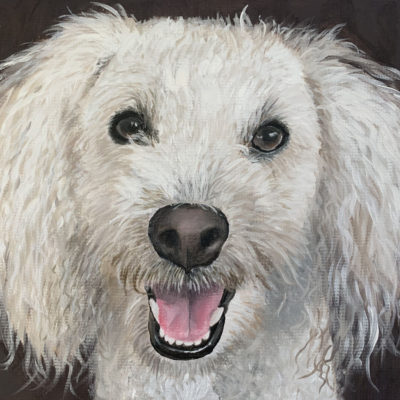 How to Paint White Hair Dogs