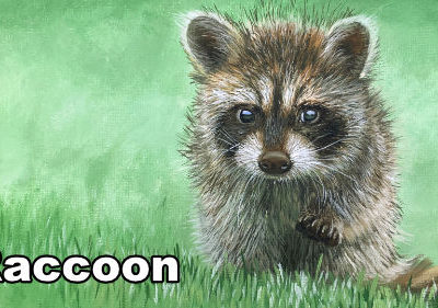 How to Paint a Raccoon in Oil