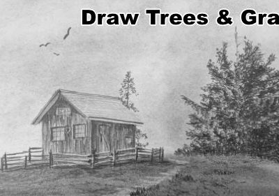 How to Draw Trees & Grass