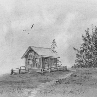 How to Draw Trees & Grass