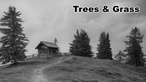 how-to-draw-trees-gress-banner-1920