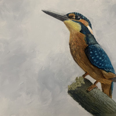 How to Paint a Textured Kingfisher in Acrylic