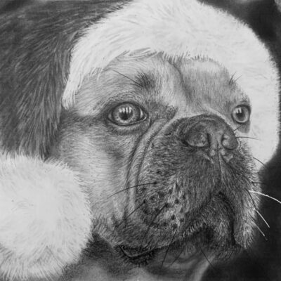 How to Draw a French Bulldog