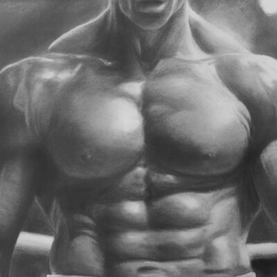 How to Draw a Male Torso