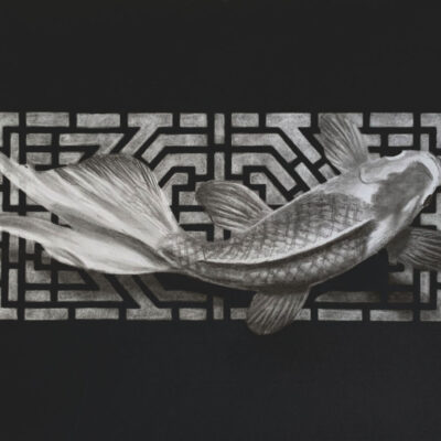 How to Draw a Koi Fish