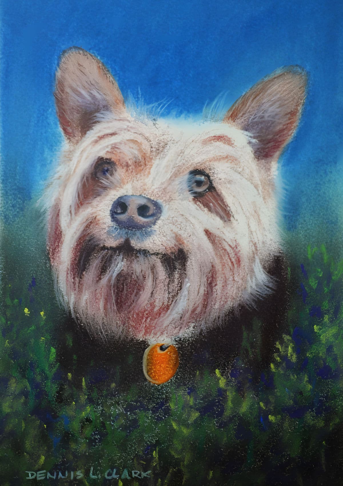 how-to-draw_long-hair-dog-pastel-final-1200-80