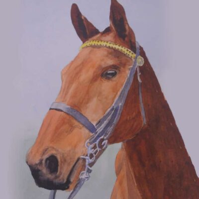 How to Paint a Horse Portrait in Watercolour