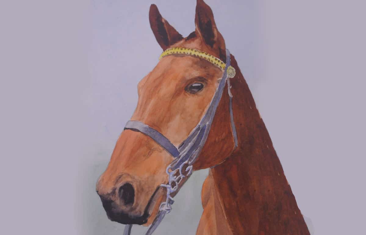 paint-a-horse-portrait-in-watercolour-final-1200-80